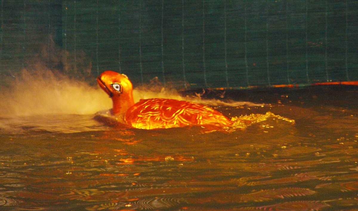 Múa rối nước